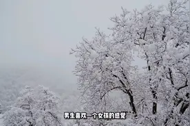 男生喜欢女生的感觉是藏不住的视频封面