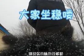 阿拉斯加犬跑起来能有多快？远远超过了我40迈的三轮车！