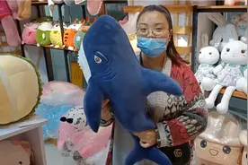 河北白沟毛绒玩具批发市场，网红货源地视频封面