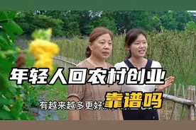 年轻人不外出工作，在农村拍视频会有出息吗？小成：农村大有可为视频封面