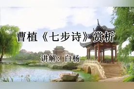 曹植《七步诗》赏析，本是同根生，相煎何太急。古诗词阅读（9）视频封面