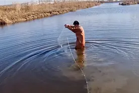 村边小河水位下降，小伙下完丝网在浅水湾徒手摸鱼，结果接连上货视频封面
