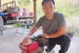 400亩荔枝果场藏有一个百果园，种有莲雾、菠萝、青柚、火龙果...视频封面