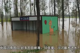 中国河南周口:好多农田被淹，50年来，沙河最大洪水？视频封面