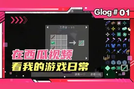 我的世界 生存 物品查看器既然能拿东西，牛逼！！！