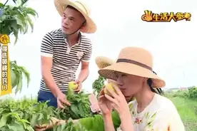 挑选黄桃的窍门