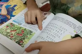 为什么苹果成熟了会掉下来视频封面