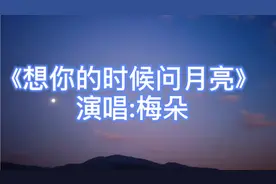 梅朵演唱伤感歌曲《想你的时候问月亮》，声音沙哑，听得人想哭视频封面