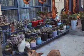 你想要怎样的人生，取决于你自己