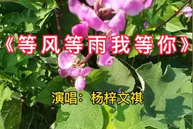 一首杨梓文祺《等风等雨我等你》深情动听醉人心扉，真好听！视频封面