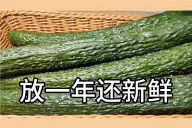 保存青瓜，别直接放冰箱，奶奶教的绝招，放一年还新鲜