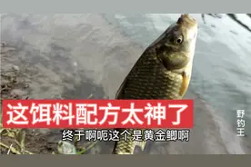 野钓王：用的这款鲫鱼饵料配方太神了，2小时钓好几斤，神饵配方视频封面