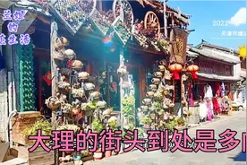云南街头到处是多肉，多到没人要，想捡回来养着行不行视频封面