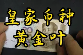第五套人民币二十元纸币荧光币种解析视频封面