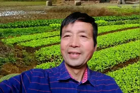 采了很多兔丝子，它竟然这么有用，我真的不知道