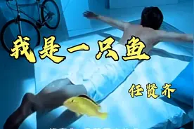 《我是一只鱼》任贤齐高清晰版MV 经典老歌，回忆满满☺️☺️☺️视频封面