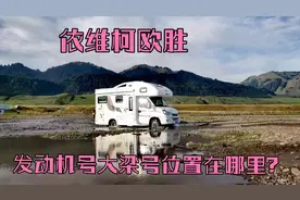 依维柯欧胜，发动机号和大梁号在哪里？老司机你知道吗？视频封面