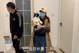 爸爸妈妈来看我，到我的出租屋仿佛看到他们进入猫咖的样子视频封面