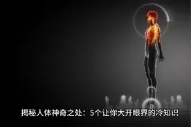 揭秘人体神奇之处：5个让你大开眼界的冷知识视频封面