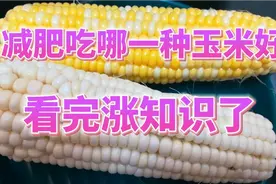 减肥的人士看过来，水果玉米跟糯玉米，到底哪个最好？答案告诉你