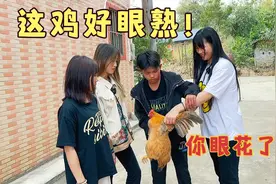 丸子姐抓鸡来我家，说要给我们加菜，可是这鸡好眼熟！视频封面