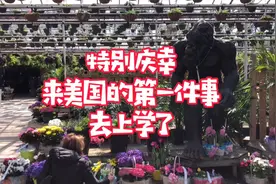 如果想舒舒服服的在美国赚钱，还是得去上学，需要会说英语视频封面
