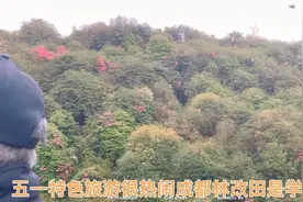 特色拥堵旅游热闹.成都绿道改农田学大寨四川省作协首创直属分会视频封面