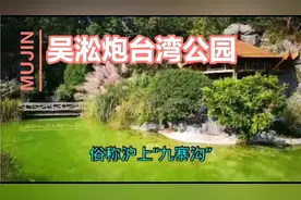 上海最美公园，自然景色一流，沪上“九寨沟”名不虚传。视频封面