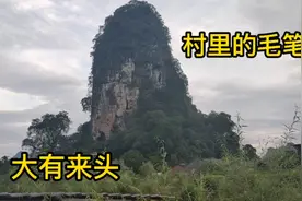 农村大叔有两个儿子，一个当工程师一个当院长，村里人都羡慕他。视频封面