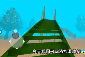 今天我们来玩恐怖滑滑梯🐒🐒🐒视频封面