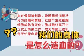 【有趣的科普】我们的身体是怎么造血的？视频封面