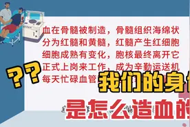 【有趣的科普】我们的身体是怎么造血的？视频封面