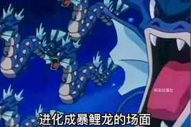 宝可梦：漫天都是暴鲤龙！鲤鱼王一起进化，这也带组团的？