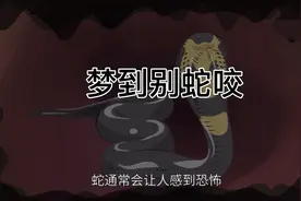 梦到被蛇咬