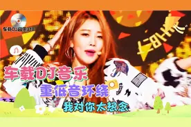 合集：网红精选100首车载DJ重低音环绕《我对你太想念》节奏动听