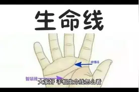 手相:生命线很长代表什么，视频封面
