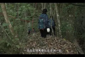 世界上真的有蓝色人种，他们的血液也是蓝色的？视频封面