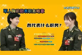 军人胸前勋表中职务略章是什么样子?又各代表什么职务?图示详解…