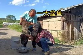 东北山村的邻里关系真好，邻居送来一盆鱼，崔阿姨摘了一堆蔬菜视频封面