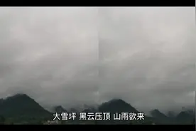 轩辕敬城请老祖宗赴死视频封面