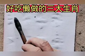好吃懒做的三大生肖视频封面