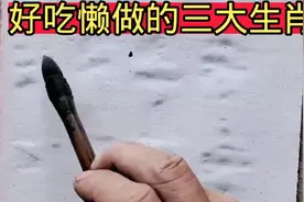 好吃懒做的三大生肖