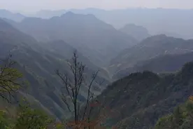 重庆城口最危险盘山路，山高谷深惊险刺激，敢走的没几个视频封面