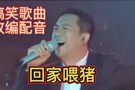 搞笑歌曲改编配音《回家喂猪》幽默滑稽搞笑逗人！视频封面