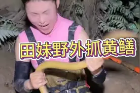 四川美女田妹，在广东野外抓黄鳝，每条都是大货三斤以上！视频封面