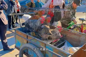 带大家见识下大兴安岭街景，说没吃没喝的过来看看，笨鸡香不香视频封面
