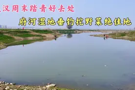 武汉踏青好去处-府河湿地，垂钓天堂，搭帐篷挖野菜烧烤绝佳地视频封面
