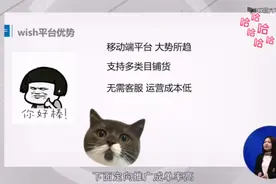 介绍一下wish的优势和劣势，一起看看wish的五个买家端页面介绍视频封面