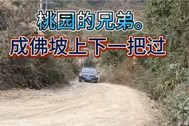 桃园的兄弟牛逼👍👍大众朗逸，成佛坡上下一把过。视频封面