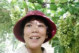 无籽葡萄真的都打了违禁药了吗，被外地朋友问到，资深农户为你解视频封面